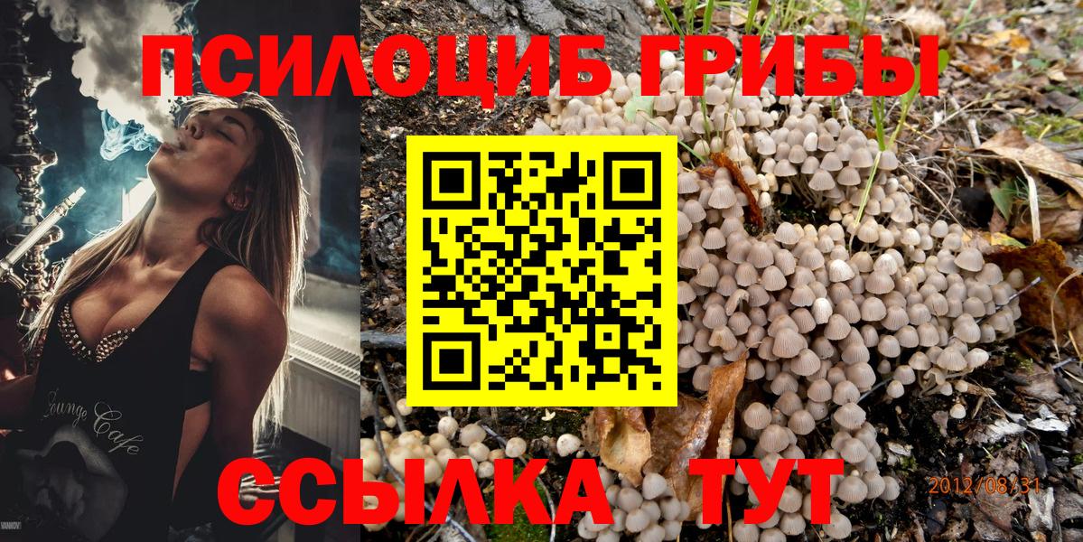 Галлюциногенные грибы GOLDEN TEACHER Богородицк