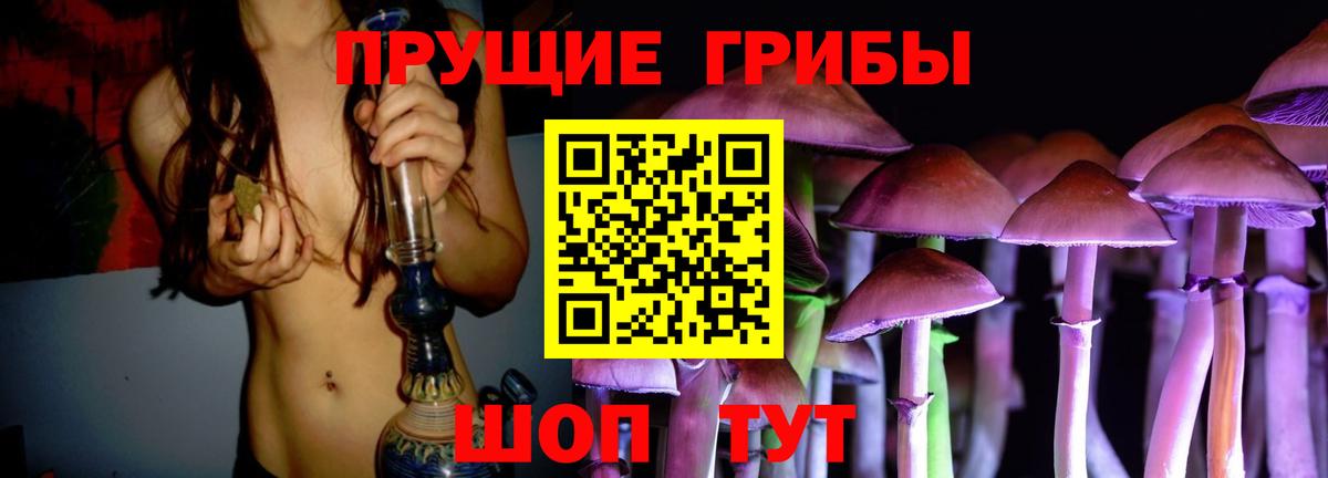 Богородицк  Псилоцибиновые грибы Magic Shrooms  Псилоцибиновые грибы мухоморы  Вход с VPN 